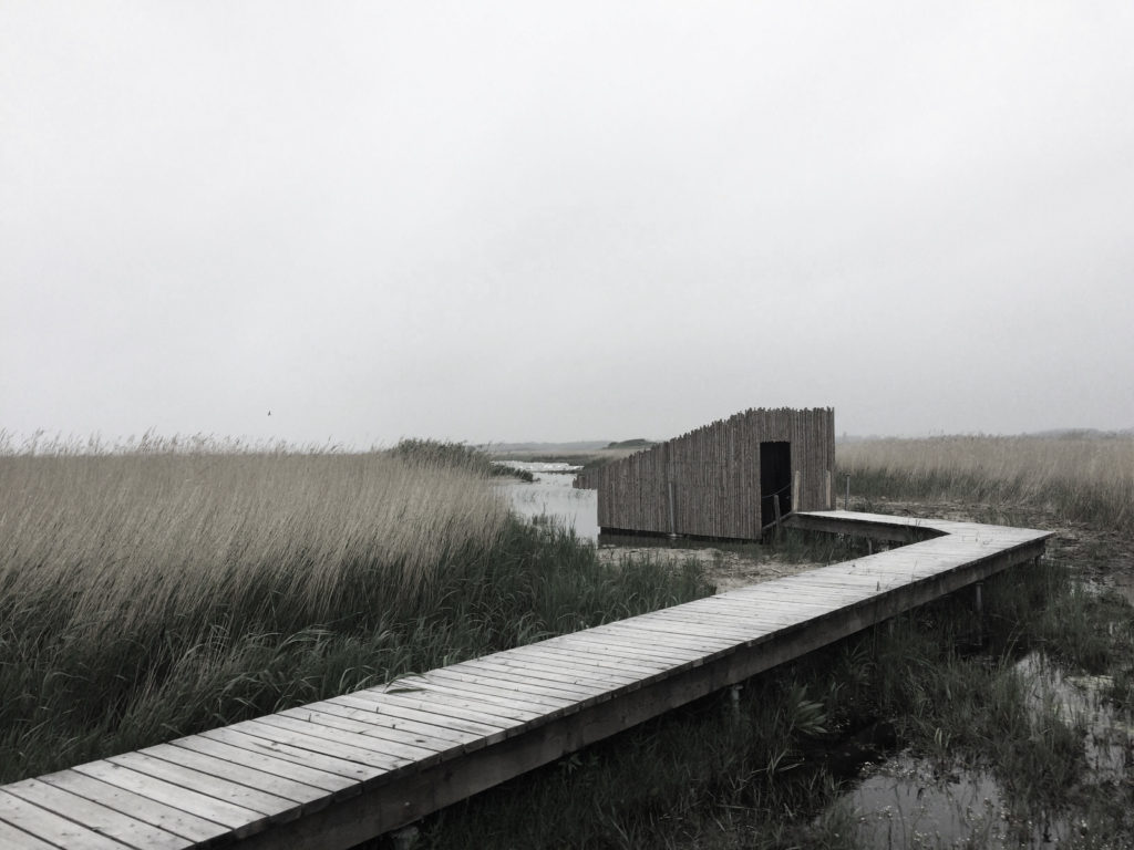 Floating bird observation hide